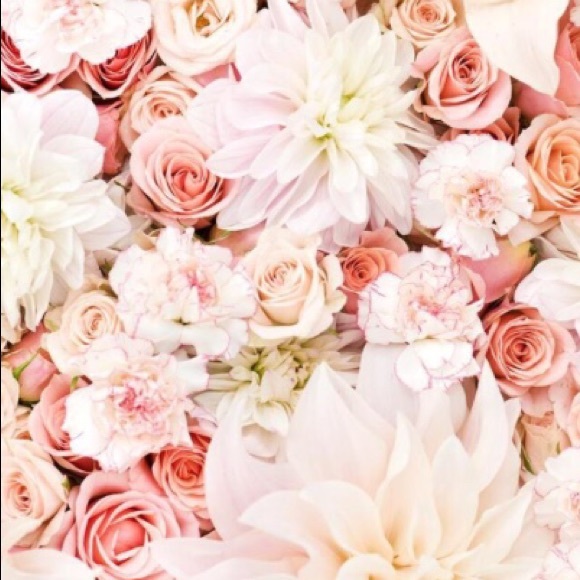 Meet your Posher, Kayli - Picture 1 of 1